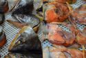 Cold smoked Salmon fish heads
