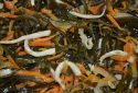 Seaweed salad «Yubileyniy»